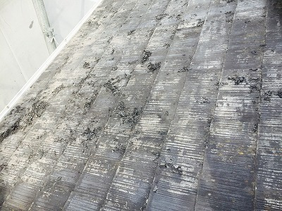 屋根　削り完了